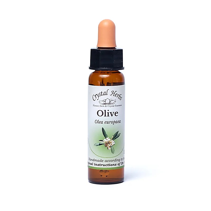 Fleurs de Bach - Vitalité Physique - Olive