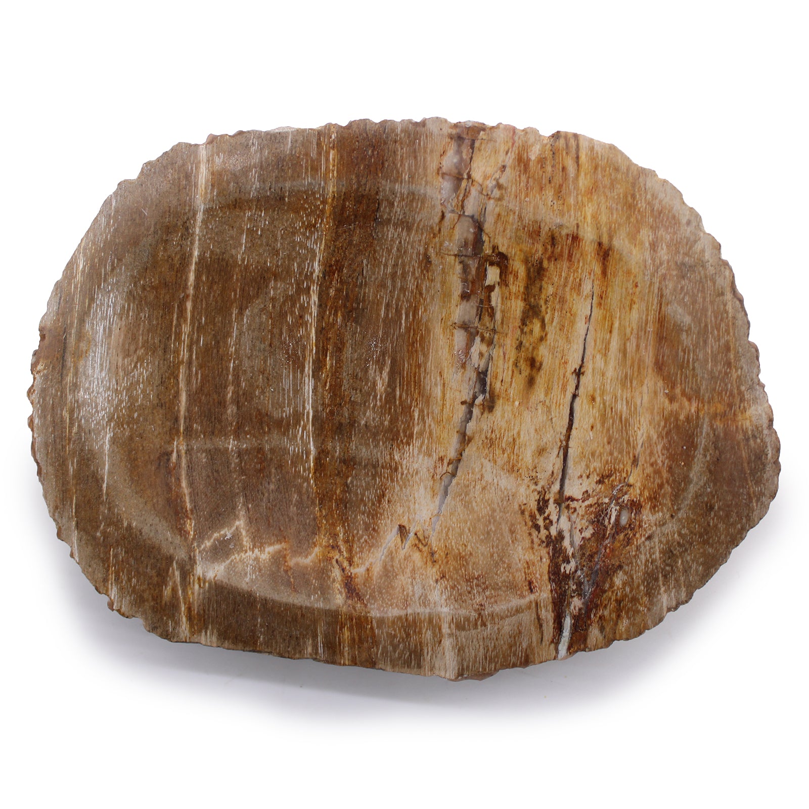 Porte savon marron en bois pétrifié