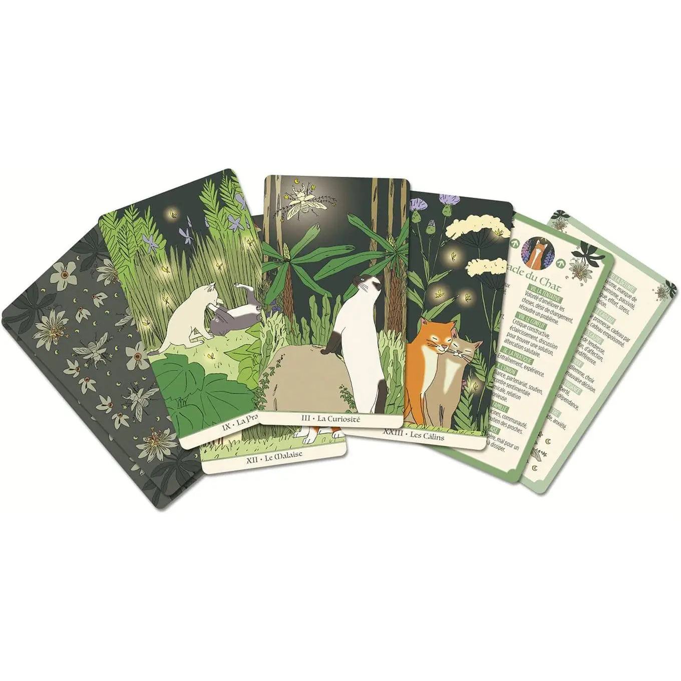 Les Oracles de la Sorcière - Jeu de cartes oracle sorcière pour pratiques ésotériques et rituels