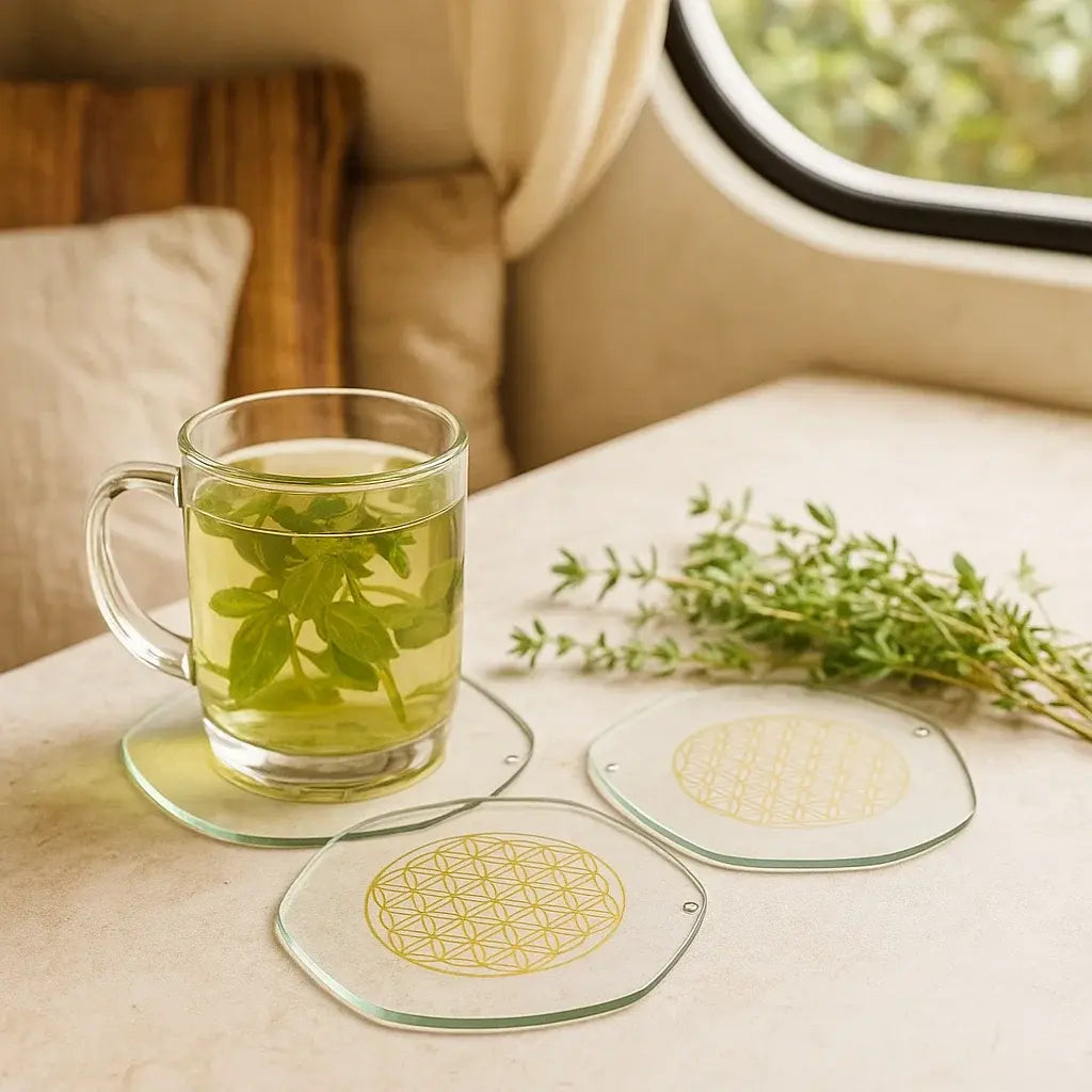 Sous-verre Energyplate M