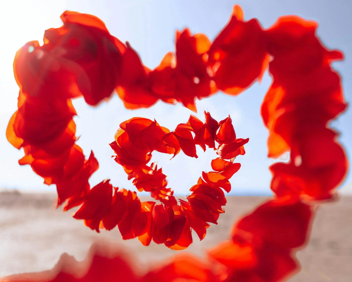 Saint Valentin  ou comment cultiver l'amour tous les jours