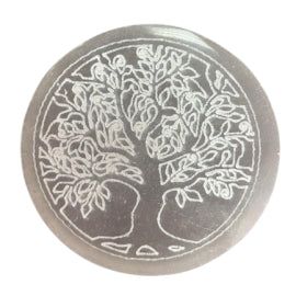 Plaque de rechargement - Taille S – vue 2