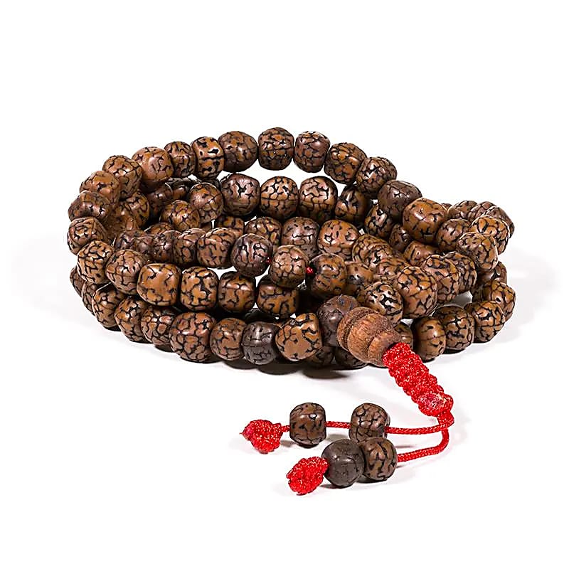 Mala Rudraksha Poli | Perles de 6 mm