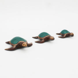 3 Tortues de mer