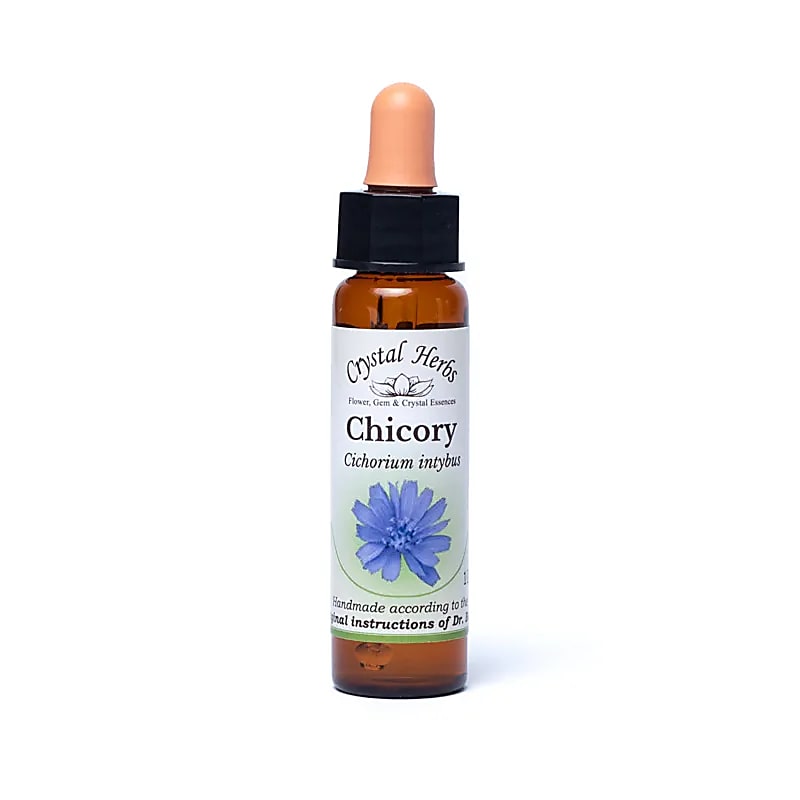 Fleurs de Bach - Amour sans attaches - Chicorée