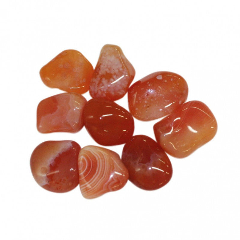 Agate cornaline zonée Botswana