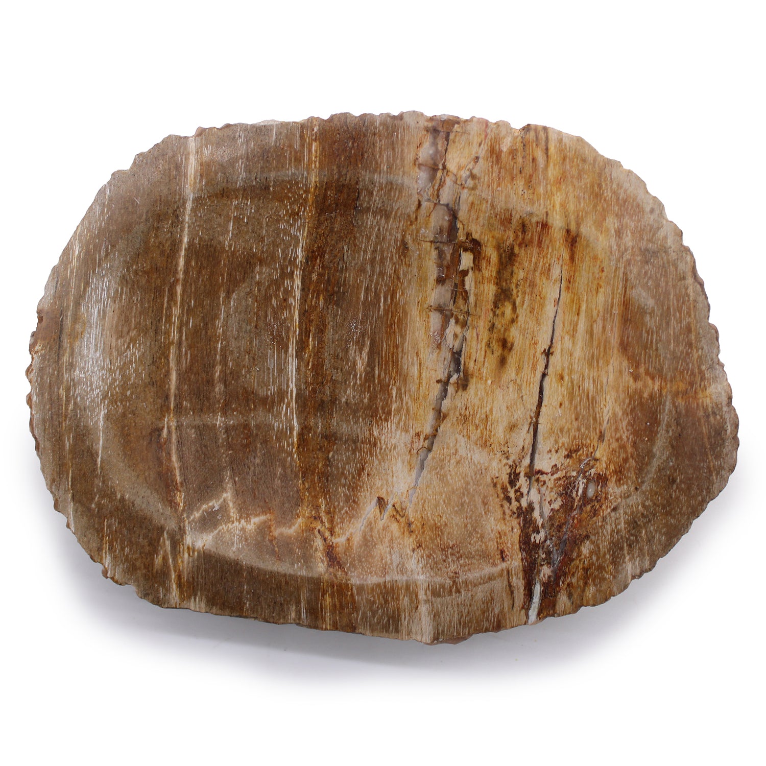 Porte savon marron en bois pétrifié