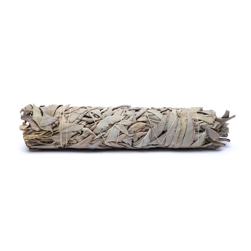 Sauge blanche L | 110 à 140g | 23 x 5 cm