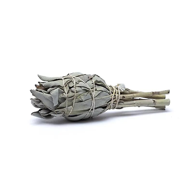 Sauge blanche  - set de 3 smudges