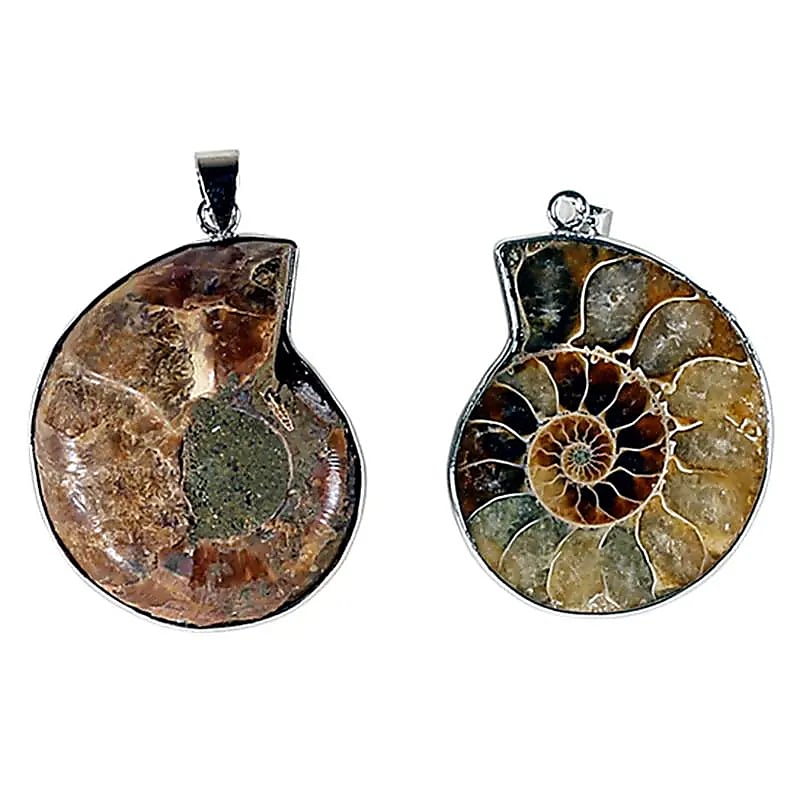 Pendentif en Ammonite Élégant et Unique