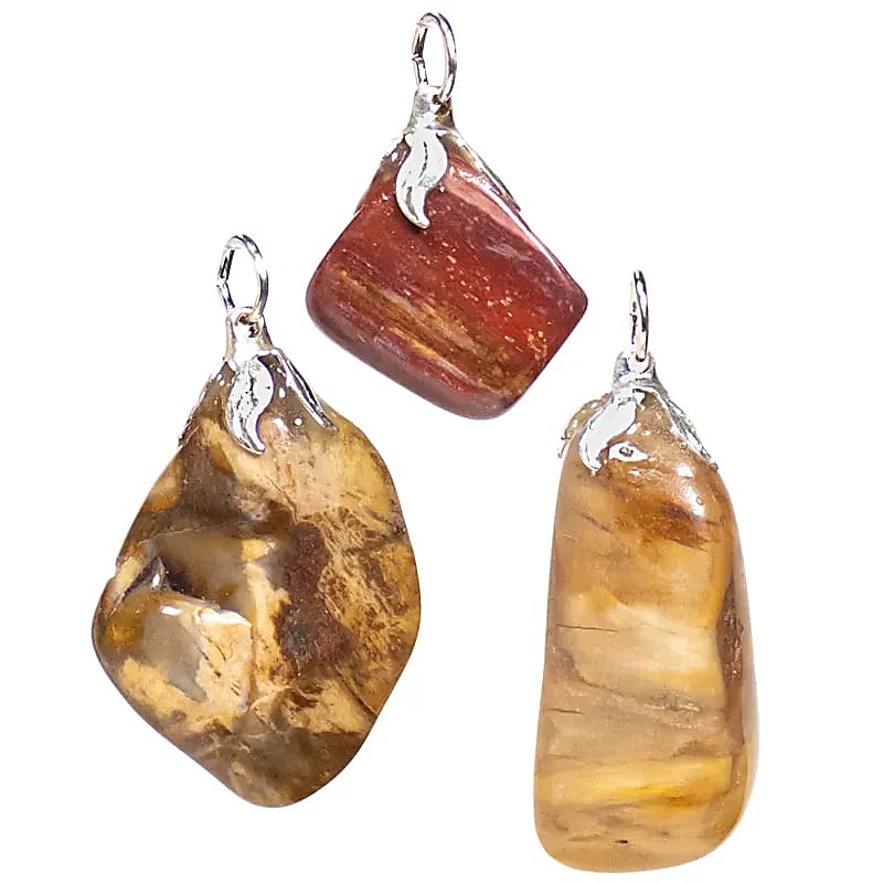 Pendentif en Bois Pétrifié Pierre Naturelle