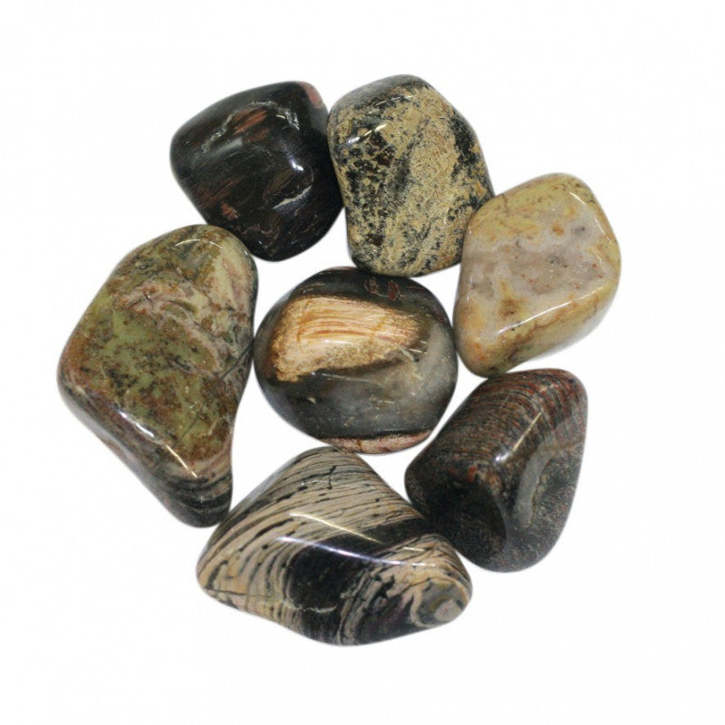 Jaspe Silverleaf Afrique du Sud