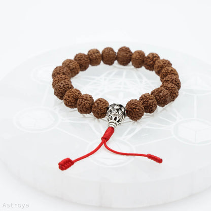 Bracelet Rudraksha  21 perles| OmPH Compassion