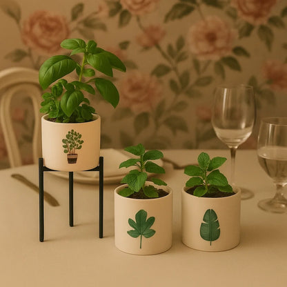 3 grandes Bougies botaniques après utilisation avec plantes