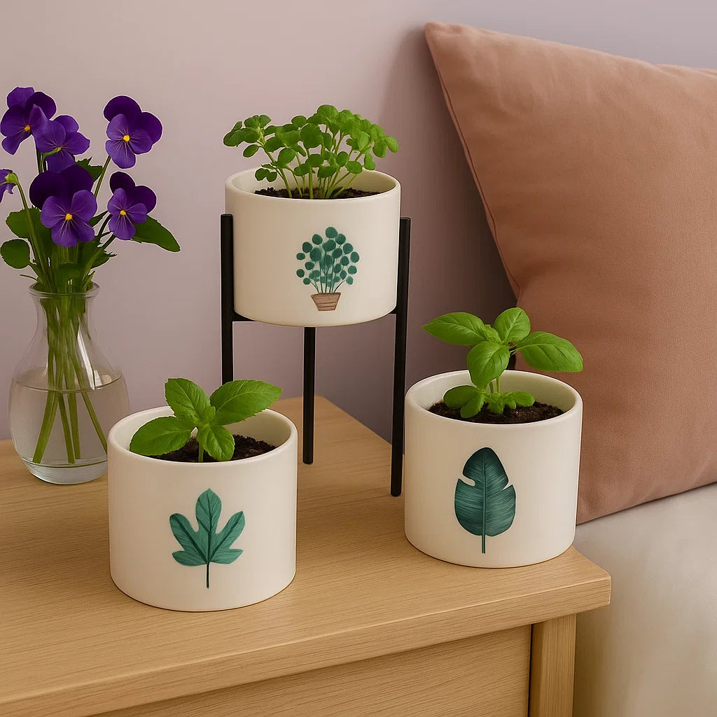 3 grandes Bougies botaniques après utilisation avec plantes