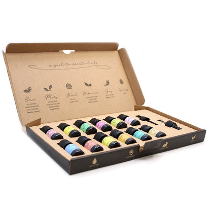 Coffret Aromathérapie Les Essentiels regroupant 12 huiles essentielles incontournables