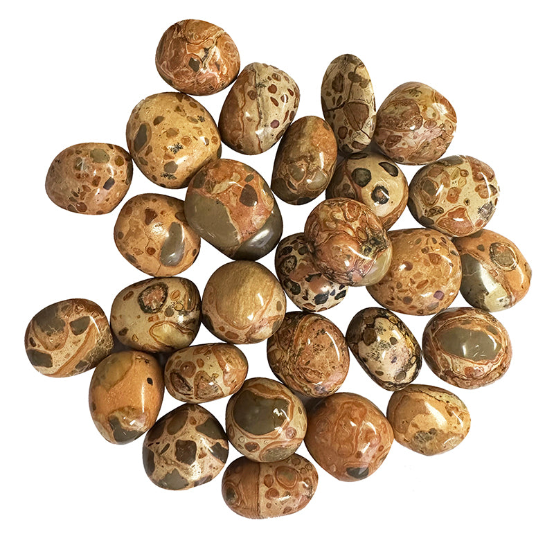 Leopardite