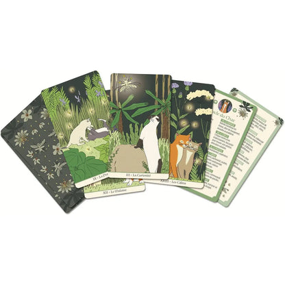 Les Oracles de la Sorcière - Jeu de cartes oracle sorcière pour pratiques ésotériques et rituels