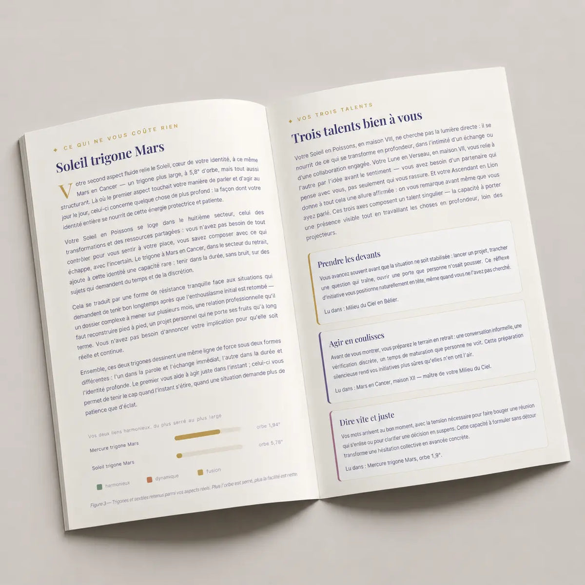 Vos talents naturels : Milieu du Ciel, maison 6 &amp; maison 2 de votre thème astral (PDF)